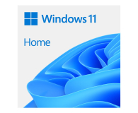 Microsoft Windows 11 Home OEM DVD PL